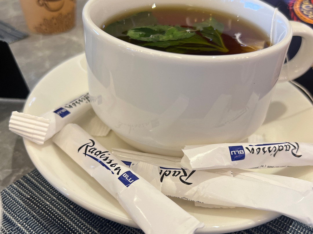 利雅得库尔图巴丽笙酒店主图