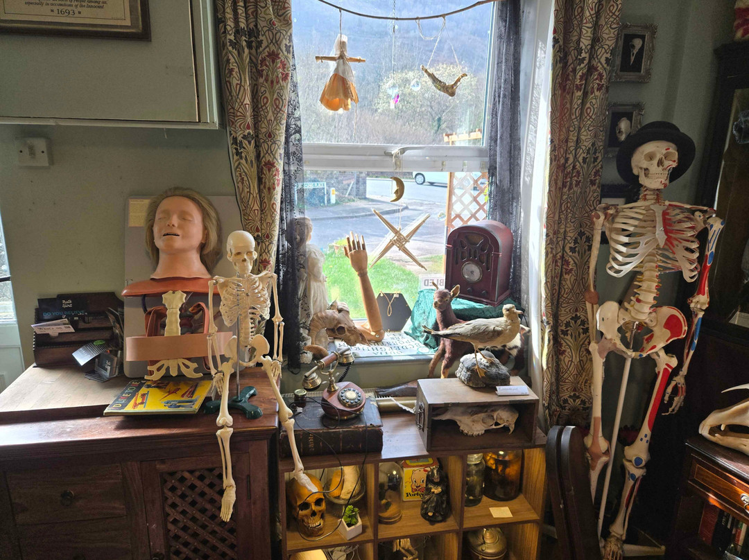 Morbitorium-卡菲利必去景点