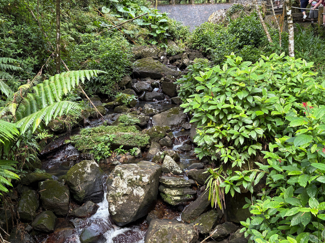 Independent tour guide-Rio Grande必去景点