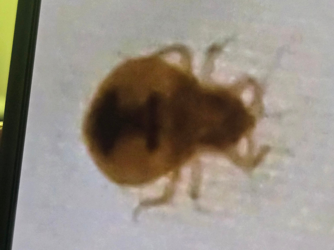 休斯顿/利格城欢朋套房酒店主图