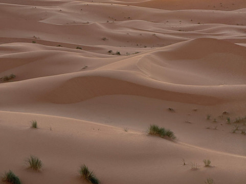 Dades Aventures - Day Tours-瓦尔扎扎特必去景点