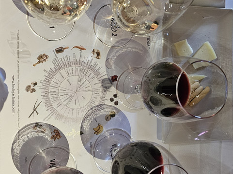 Bodegas Fariña-Toro必去景点