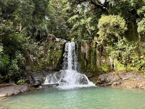 Waiau Falls Walk-Waiau必去景点