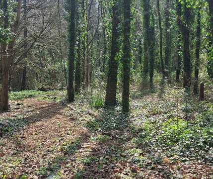 Wilderfox-Chudleigh必去景点