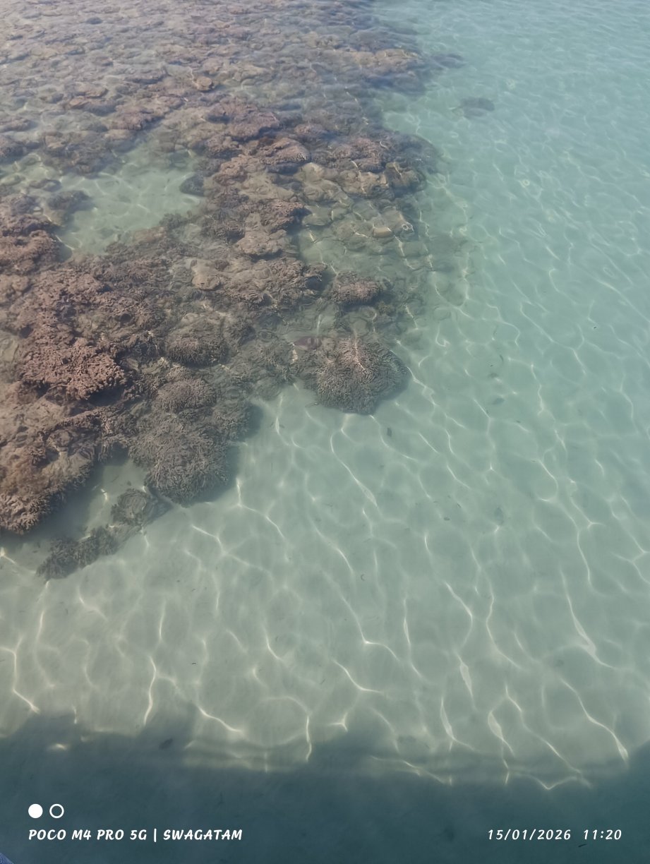 TSG 奥拉酒店-官方