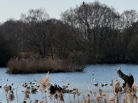 Pensthorpe-Fakenham必去景点