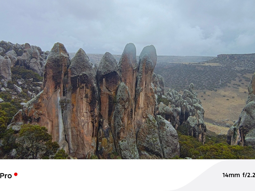 Bale Mountains Trekking Tours Ethiopia-Bale Robe必去景点