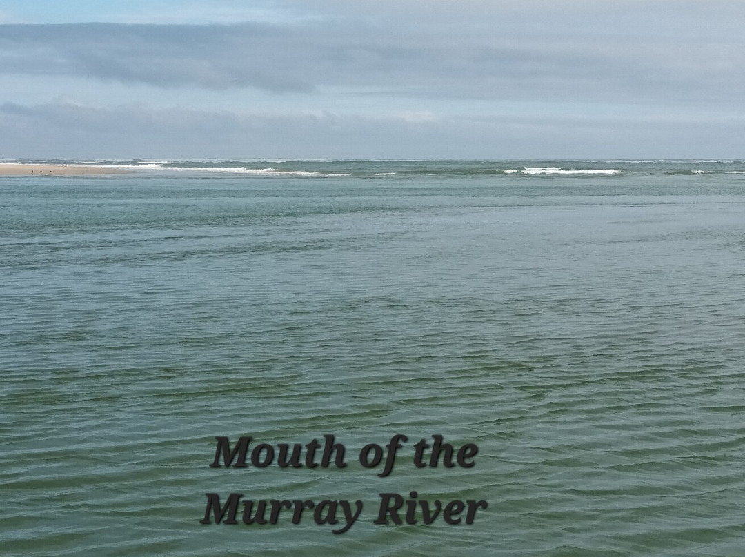 Spirit of the Coorong Cruises-Goolwa必去景点