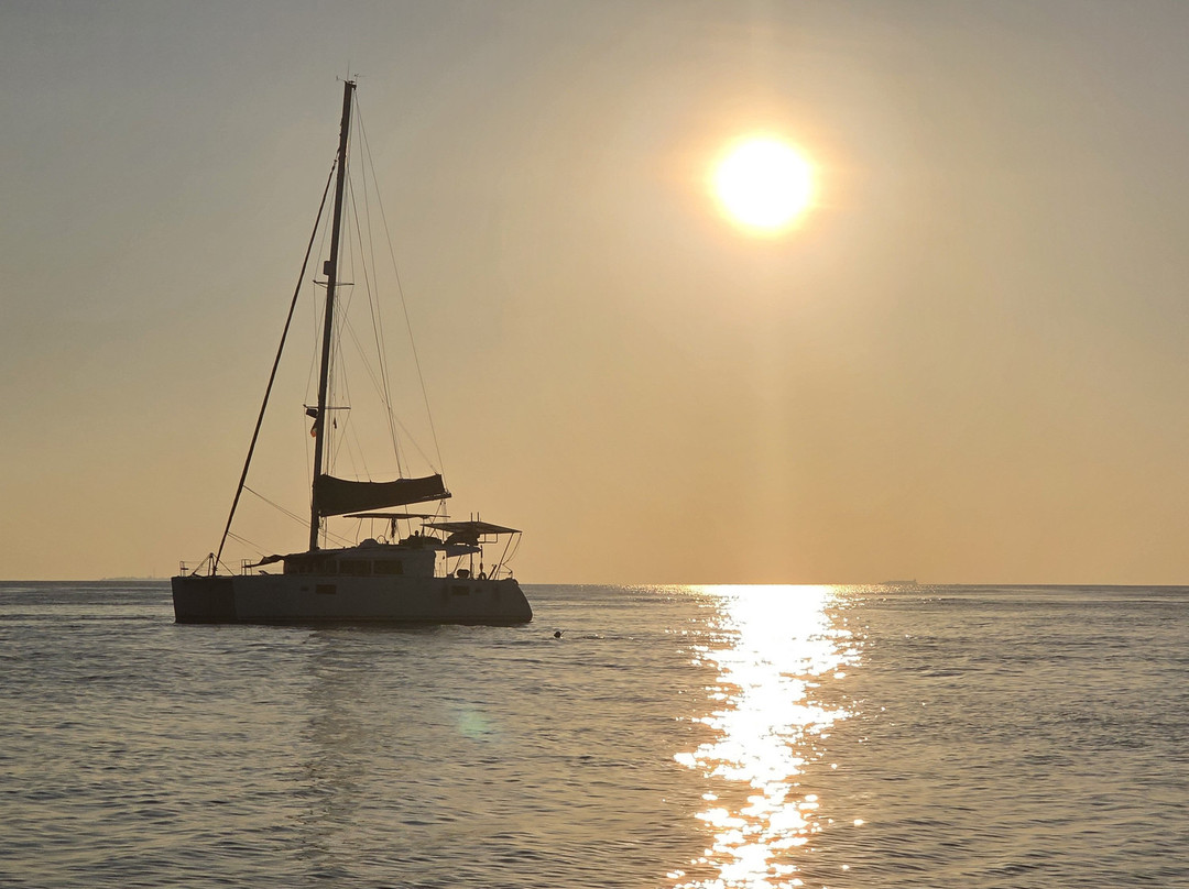 Papa Fish Excursions-乌库拉斯必去景点