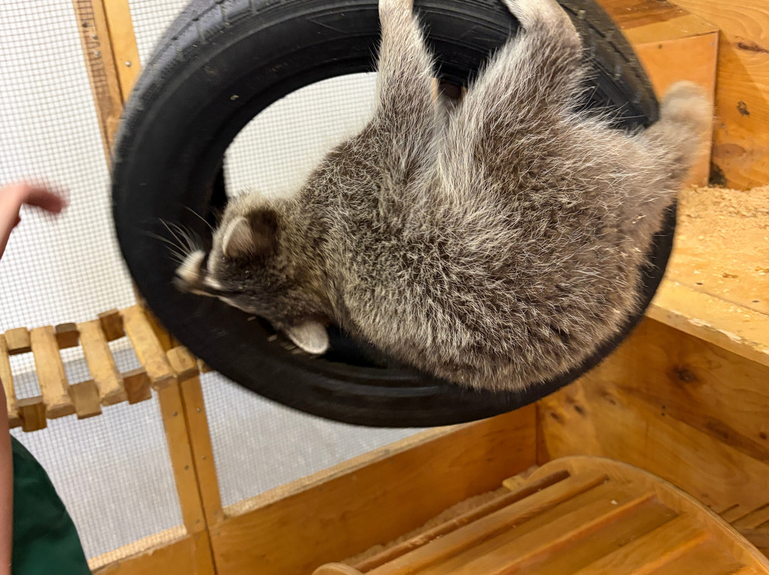 Strana Enotiya-克拉斯诺亚尔斯克必去景点