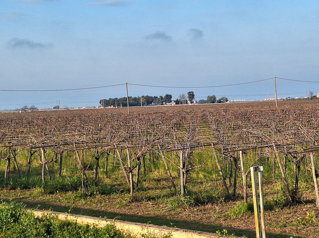 特努特圣弗朗西斯科酒店主图
