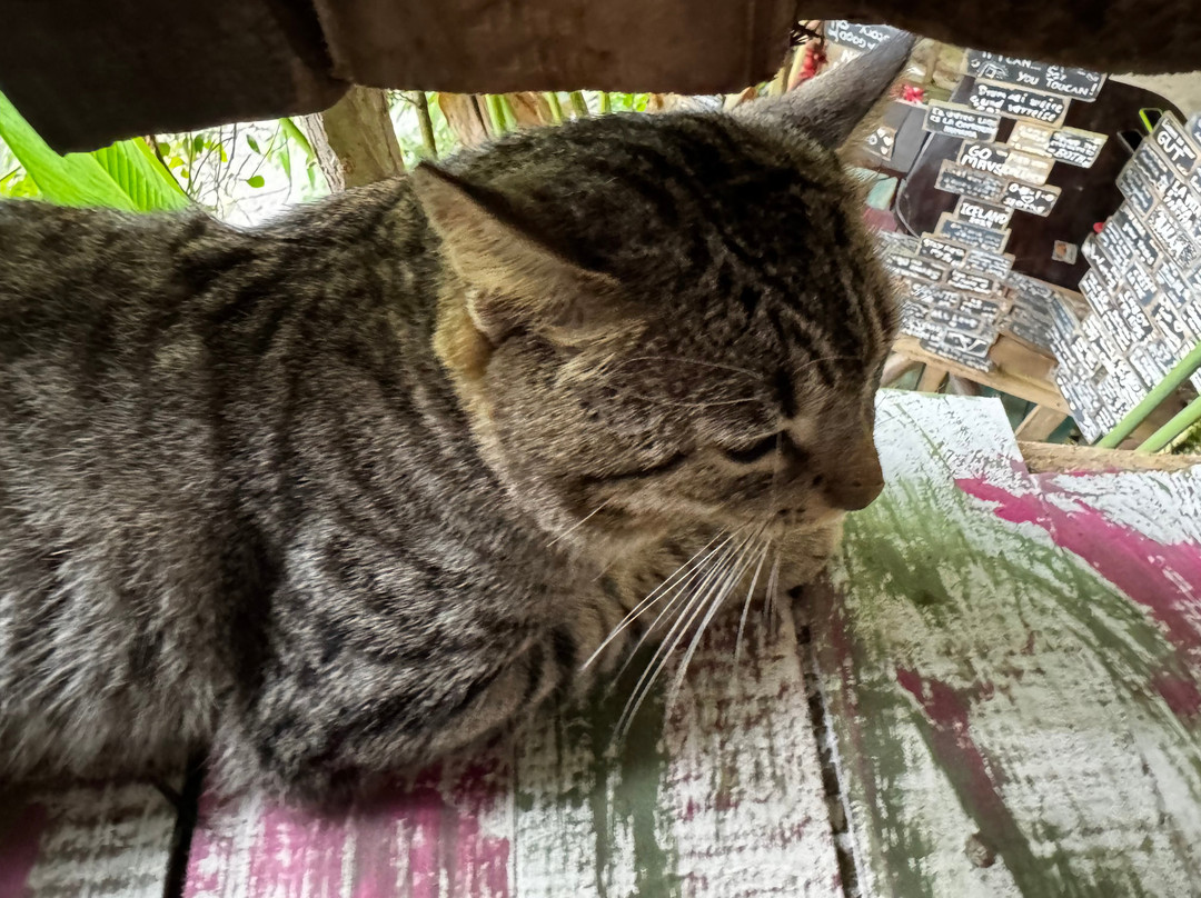 Desayunos Rodríguez主图