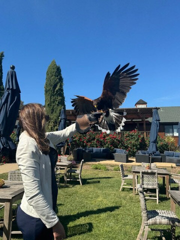 Bouchaine Vineyards - Napa Valley-纳帕必去景点