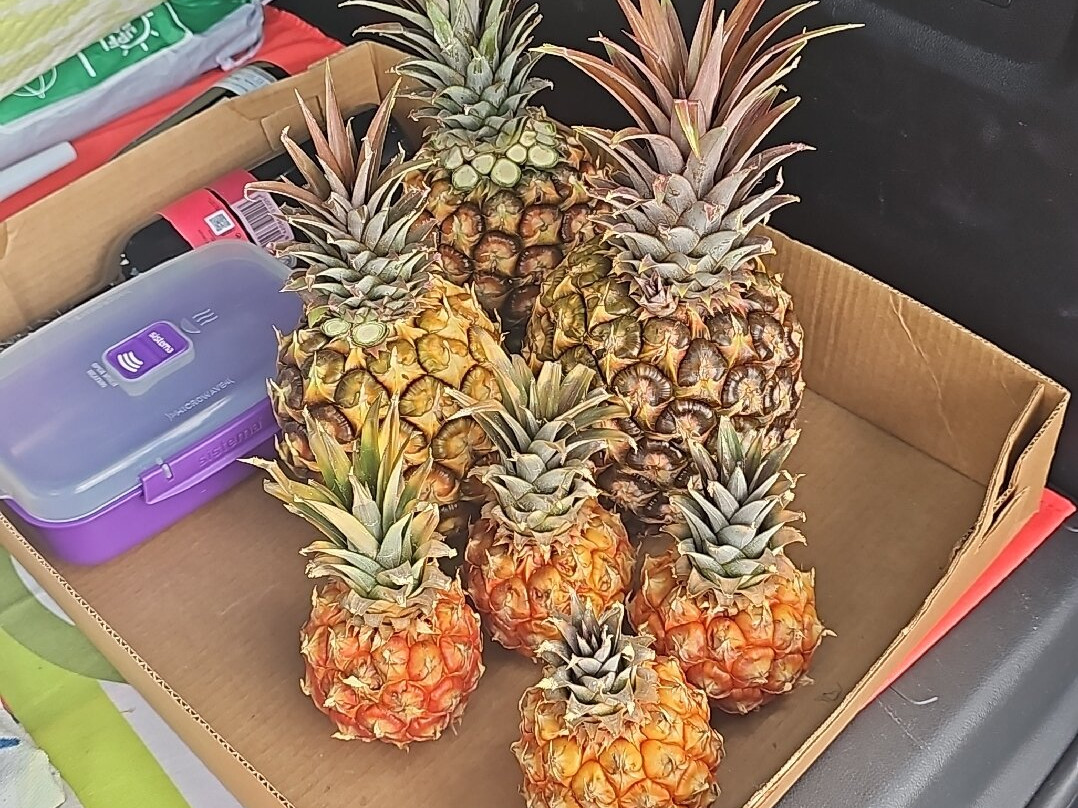 Casas Rurales Poblado Jirdana主图