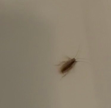 波托马克山Residence Inn 酒店主图