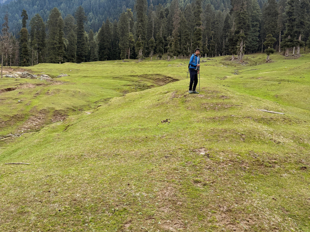 The Woodswalk Treks And Tours-帕哈甘必去景点