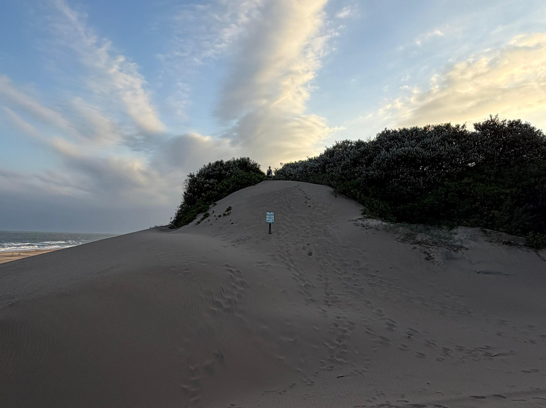 Mtunzini Beach-马图纪尼必去景点