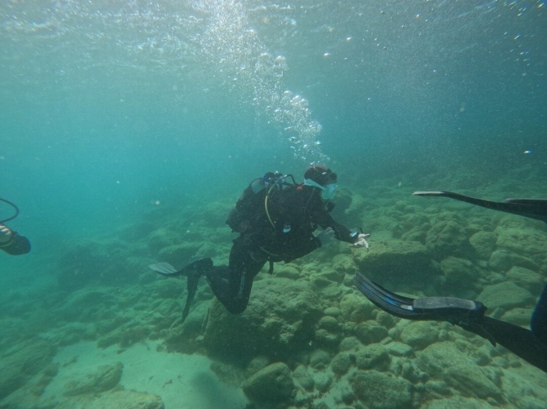 Puerto Buceo-圣玛丽亚港必去景点