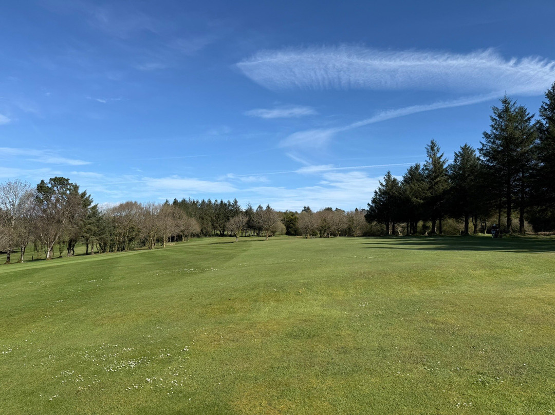 Pontardawe Golf Club-斯温西必去景点
