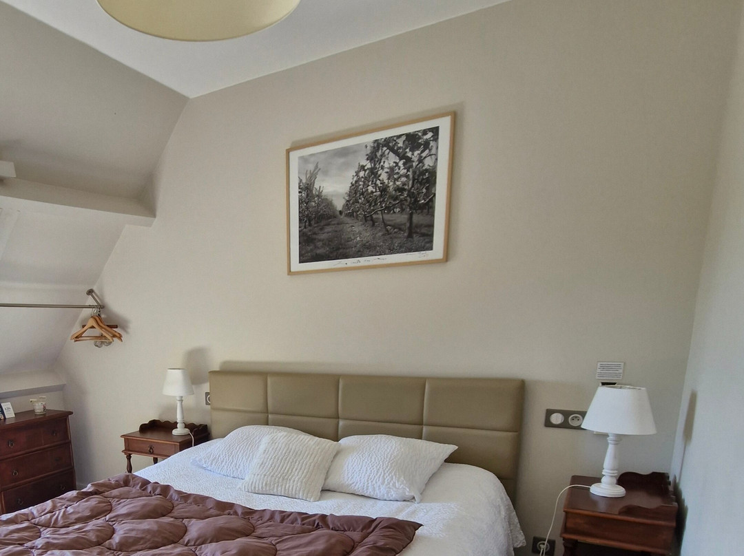 山丘之家酒店主图