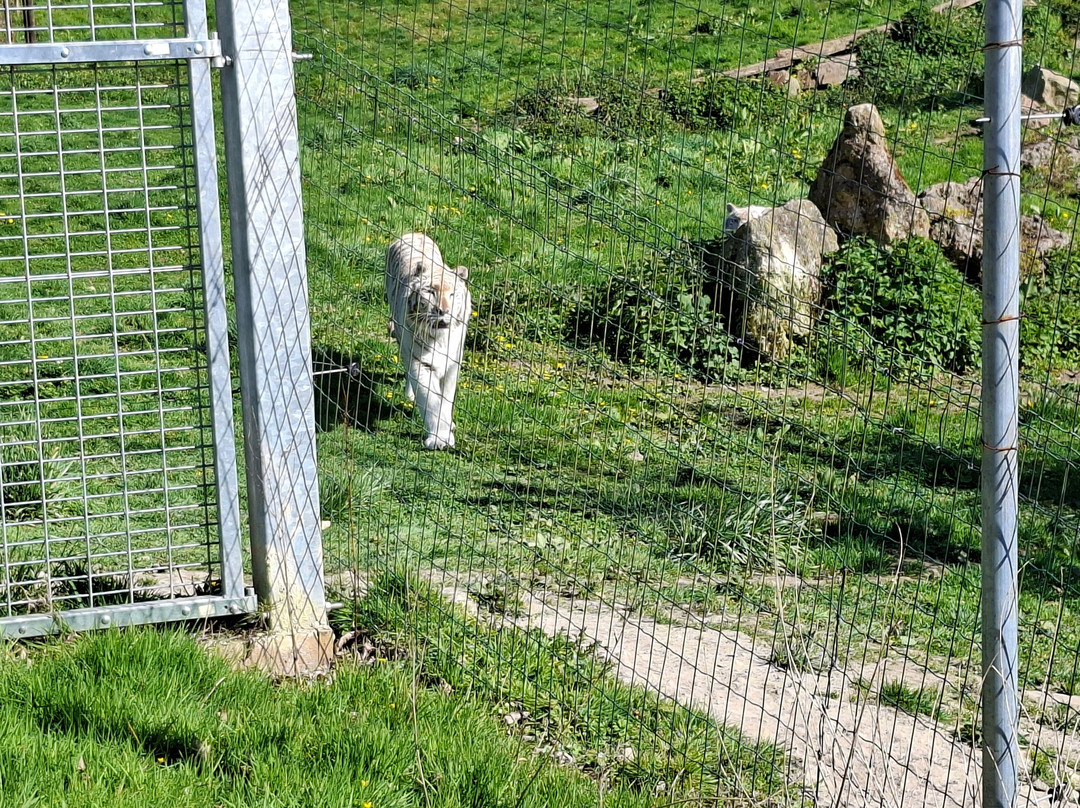 Parc Zoologique Cerza-Hermival-les-Vaux必去景点