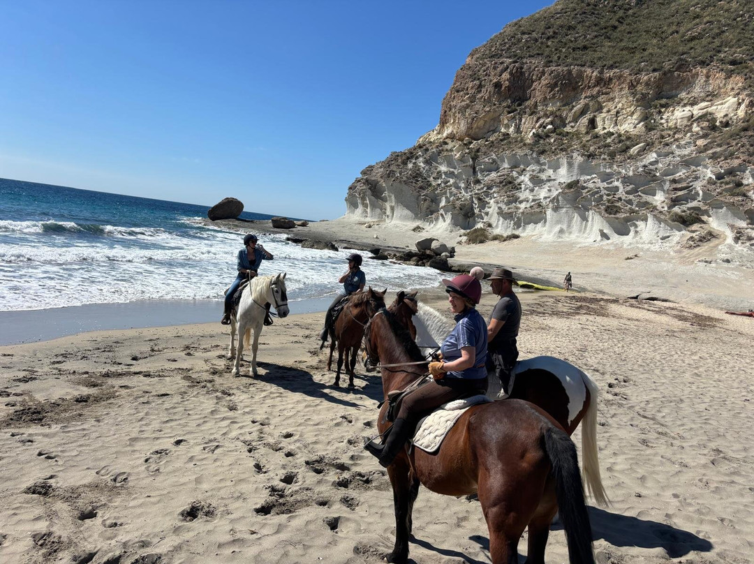 Horse Trekking in Adalusia-Vera必去景点