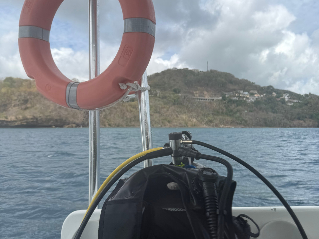 Dive Grenada-Grand Anse必去景点