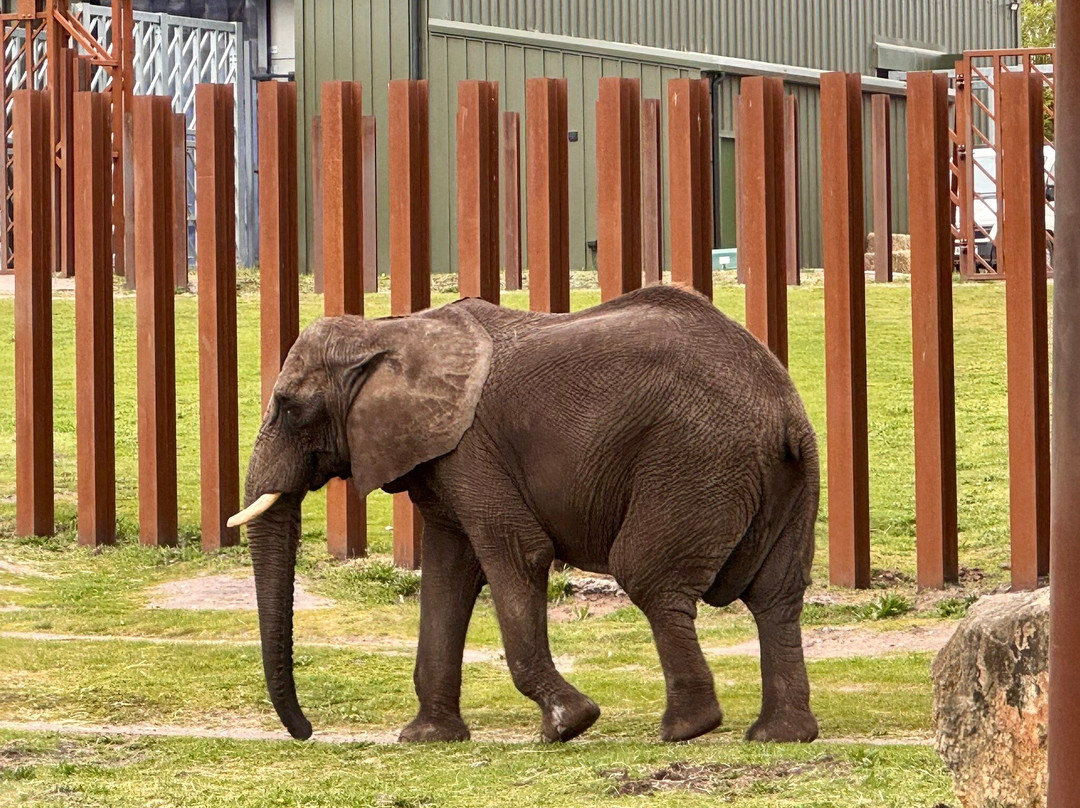West Midlands Safari Park-Bewdley必去景点
