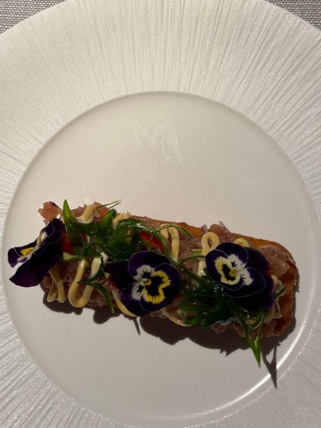 阿斯科特大酒店-旅行者