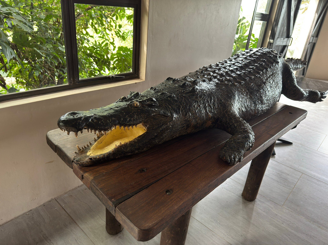 Crocodile Creek-Tongaat必去景点