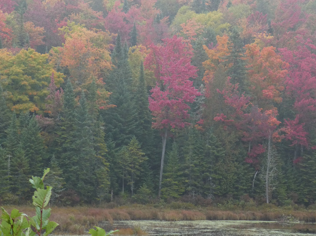 Parc national du Canada de la Mauricie-Saint-Jean-des-Piles必去景点