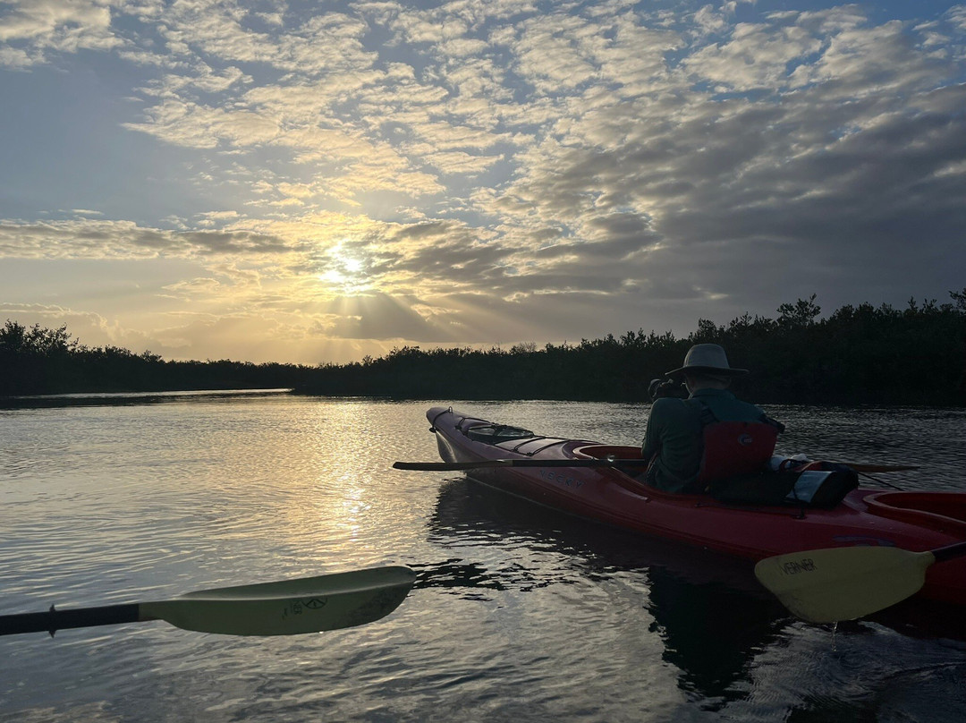 Ripple Effect Ecotours-圣奥古斯丁必去景点