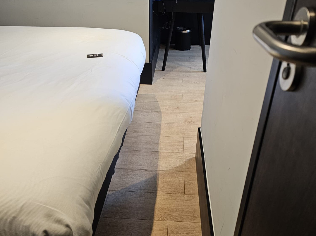 鹿特丹詹姆斯酒店主图