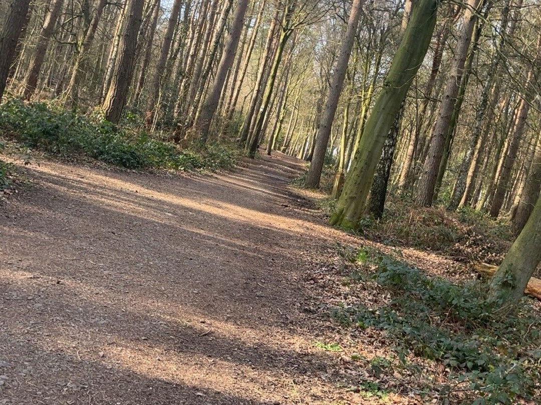 Beacon Hill Country Park-拉夫堡必去景点