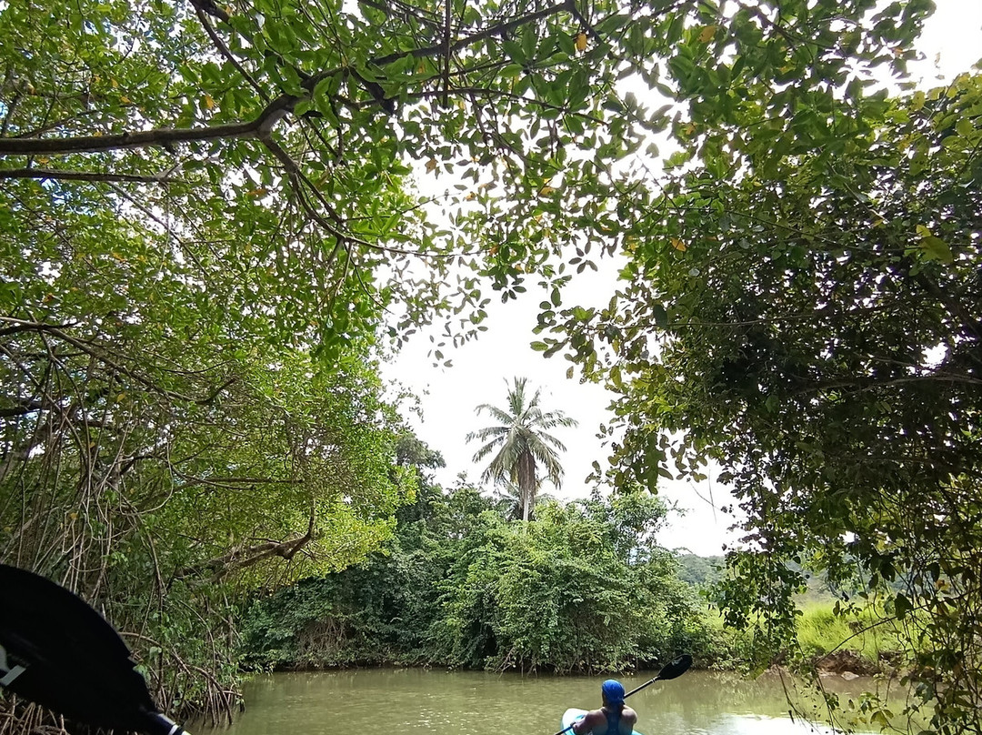 Booking Adventures-Sabana de la Mar必去景点