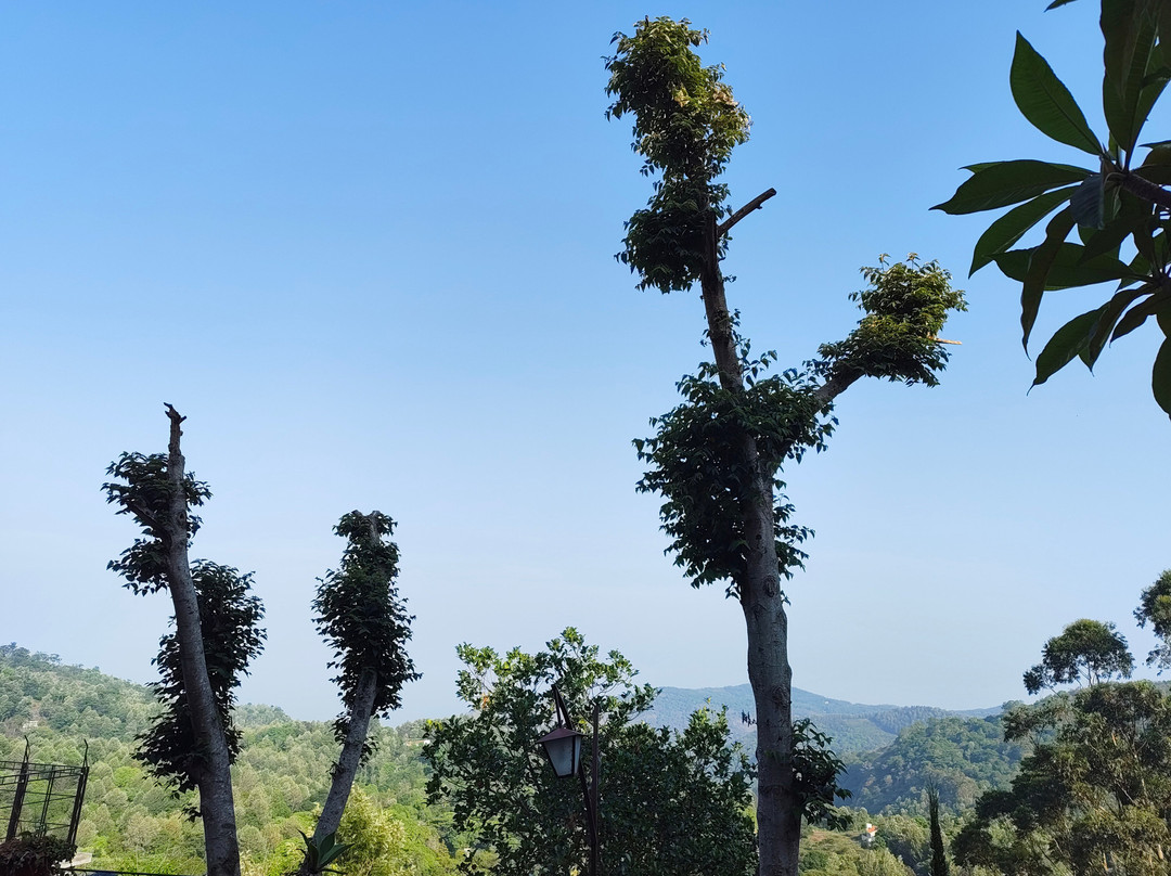 雅靠芒果山酒店主图