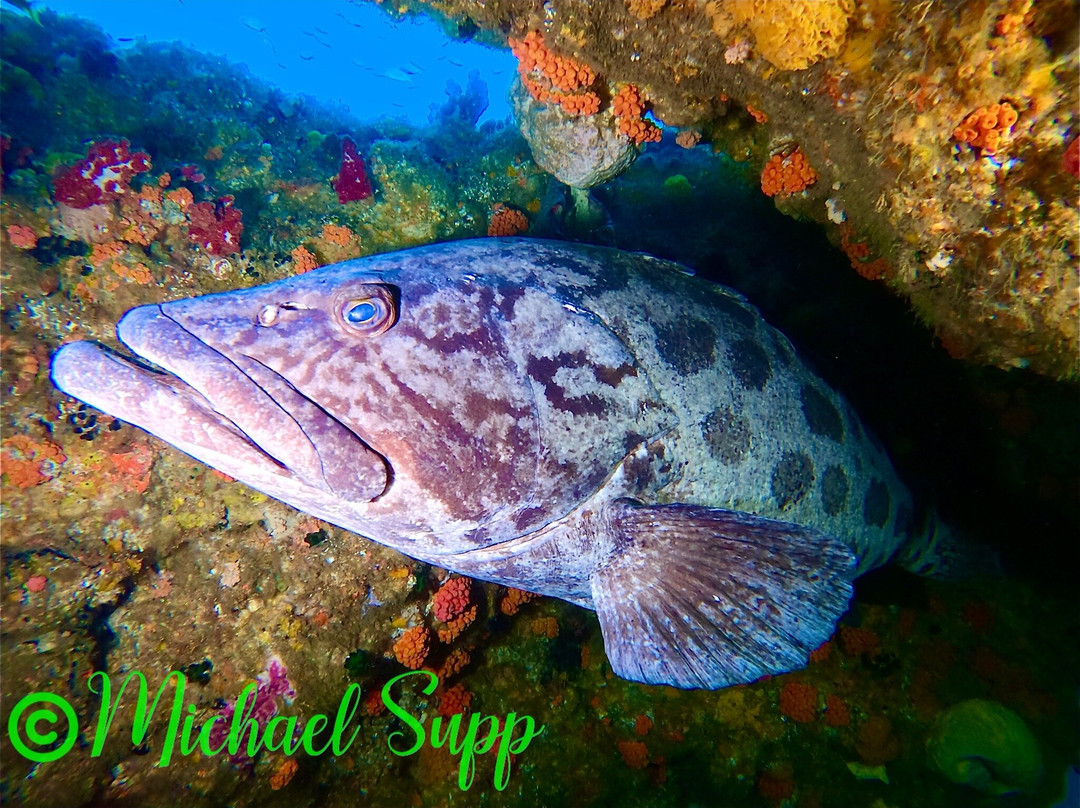 African Watersports-Umkomaas必去景点