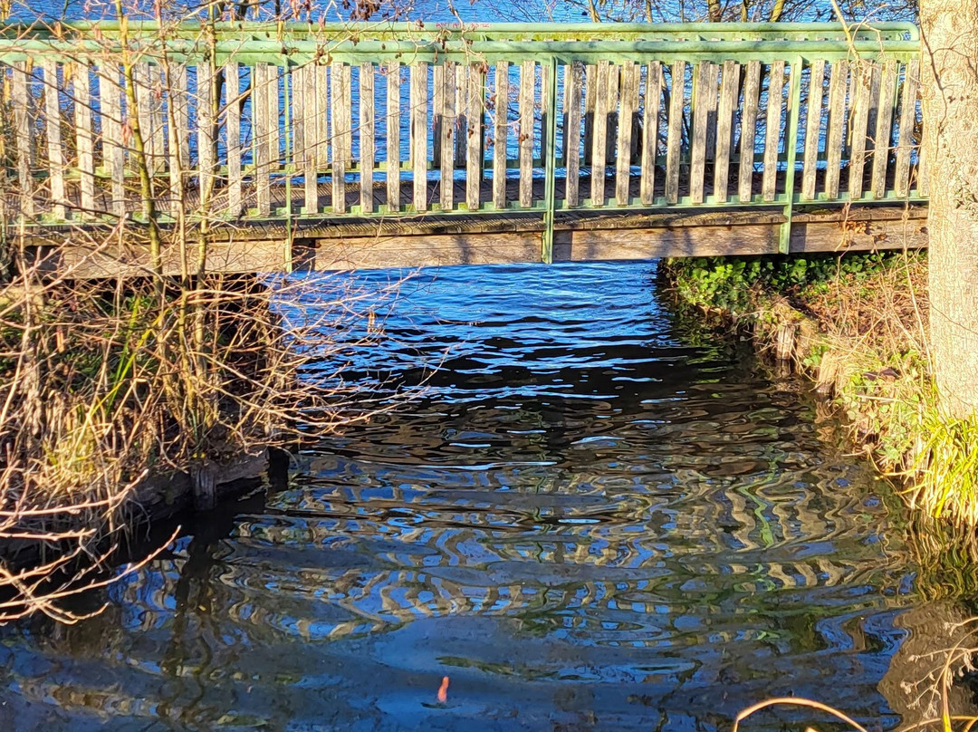 Les Hortillonnages d'Amiens-亚眠必去景点