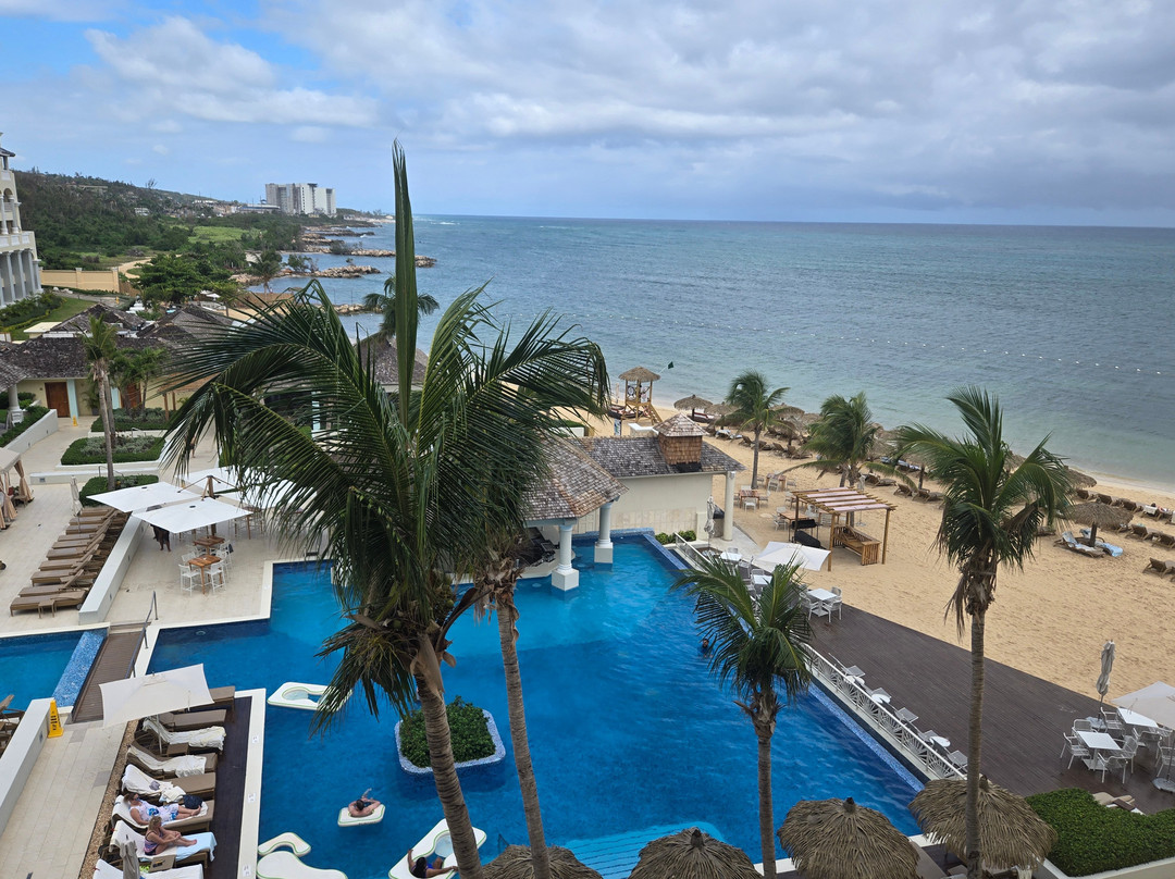 伊比利亚之星乔亚玫瑰堂主图