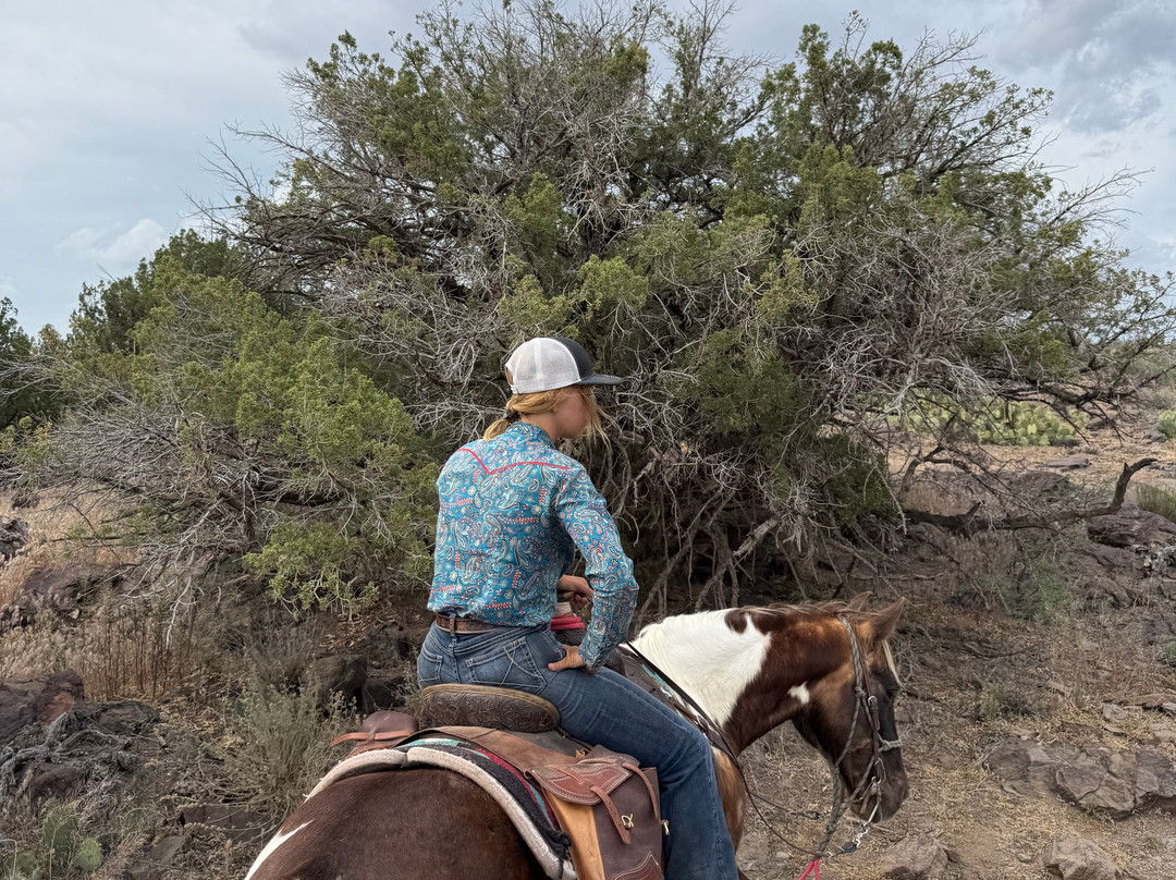 Horsin' Around Adventures-Cornville必去景点