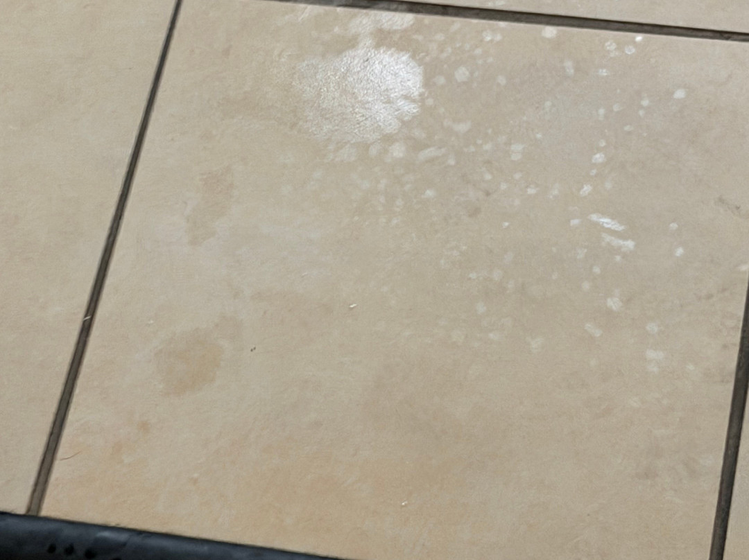辛辛那提河畔雷迪森酒店主图