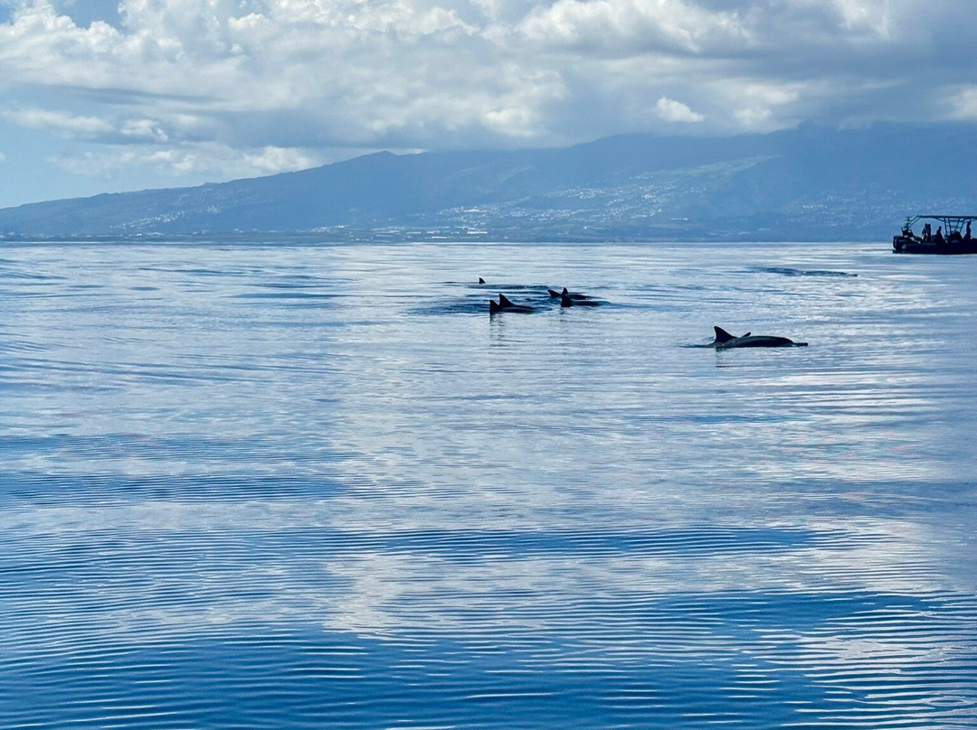 Bato Pei-圣吉尔莱班必去景点