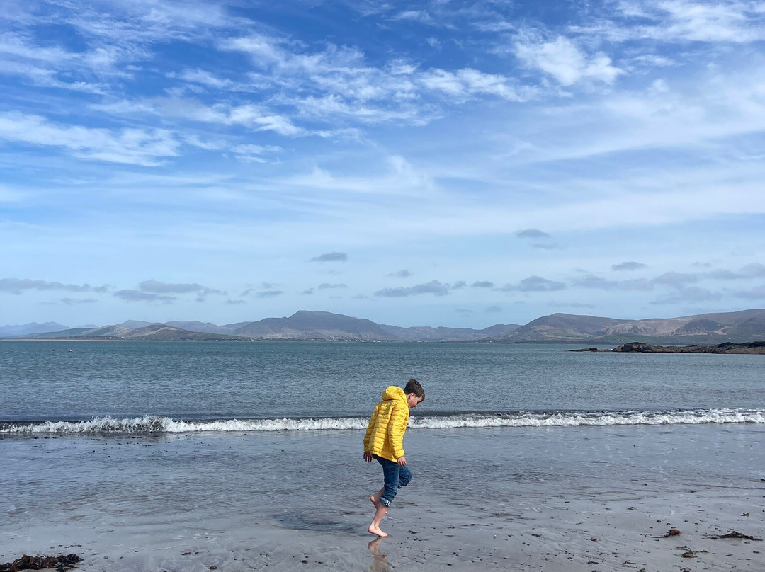 Kerry Experience Tours-Sneem必去景点