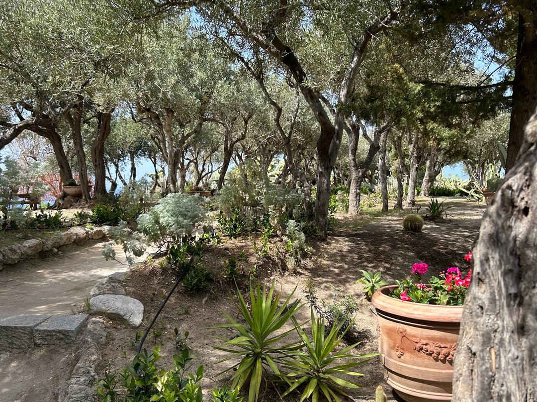 Santuario Di Santa Maria Dell'Isola Di Tropea-特罗佩阿必去景点