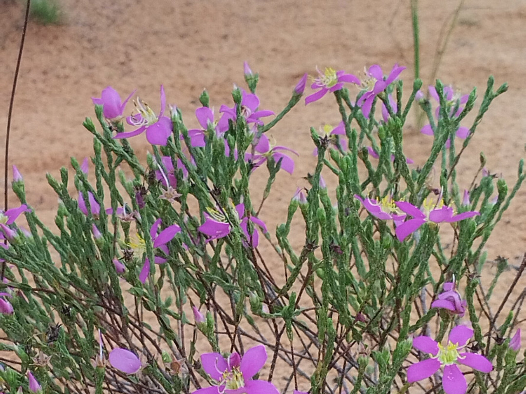 JALAPOEIROS ECOTOUR-Mateiros必去景点