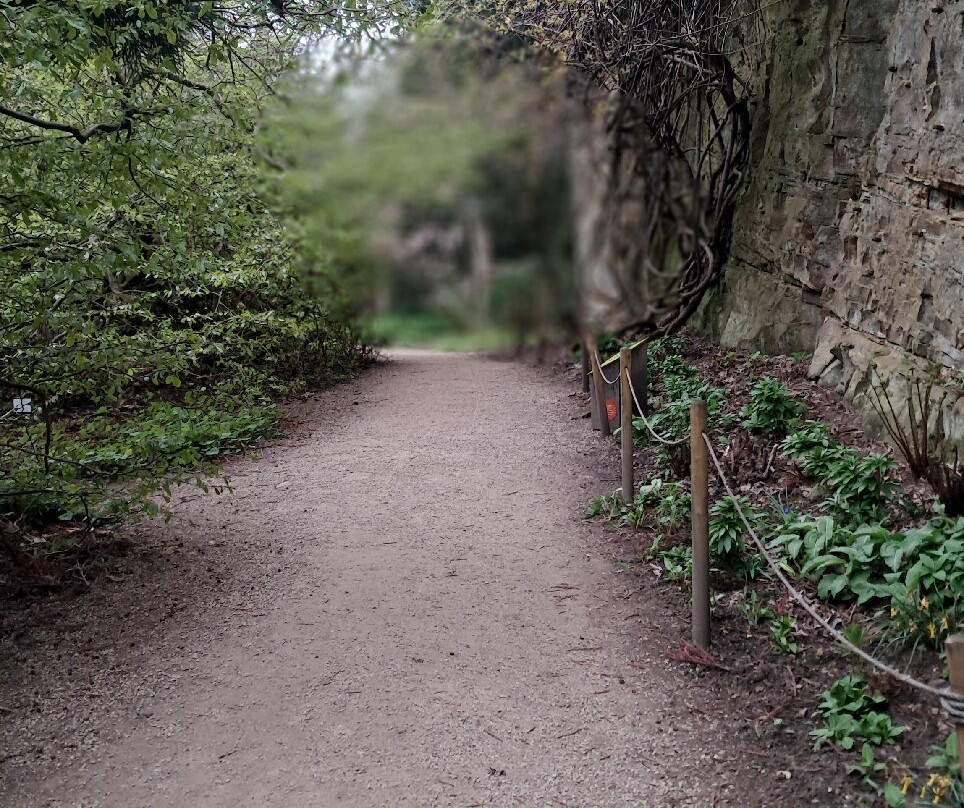 Belsay Hall Castle And Gardens-Belsay必去景点