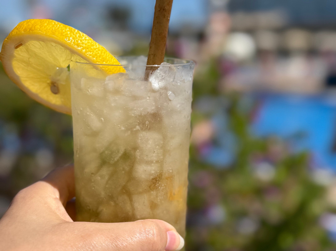 希波特尔斯帕尔马海滩宫殿及水疗酒店主图