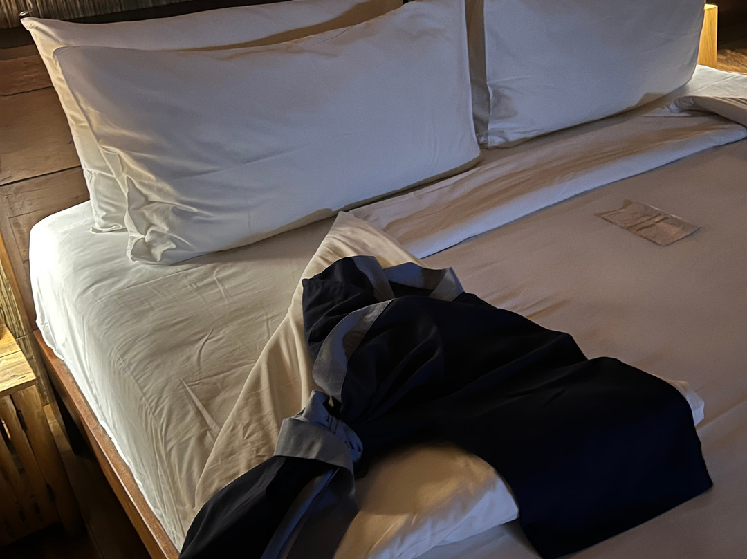 乌布蜂房酒店主图