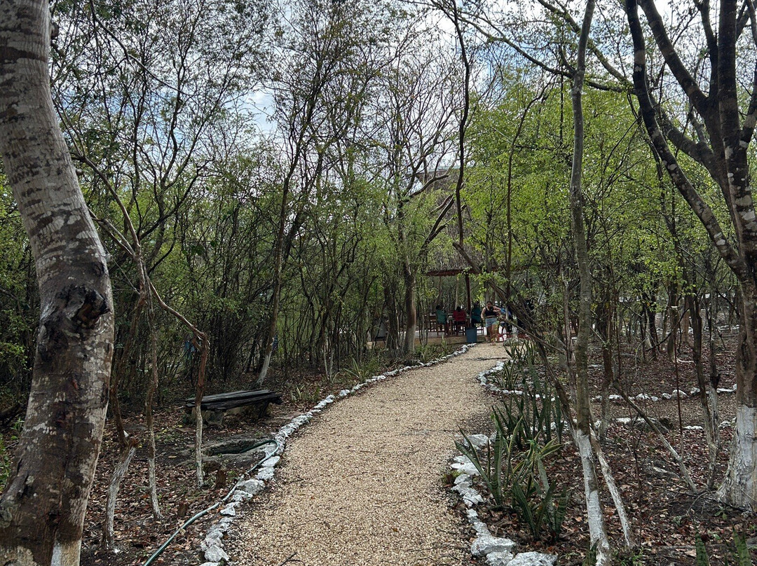 Cenote Sambula de Peba-Abala必去景点