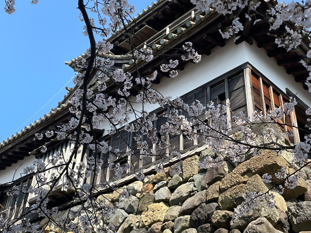 Maruoka Castle-坂井市必去景点